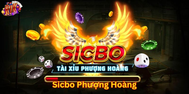 Mẹo chơi sicbo phượng hoàng dễ thắng đậm từ cao thủ