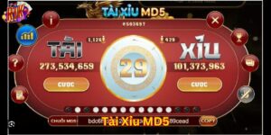 Tổng quan game tài xỉu MD5 cực hay tại cổng game